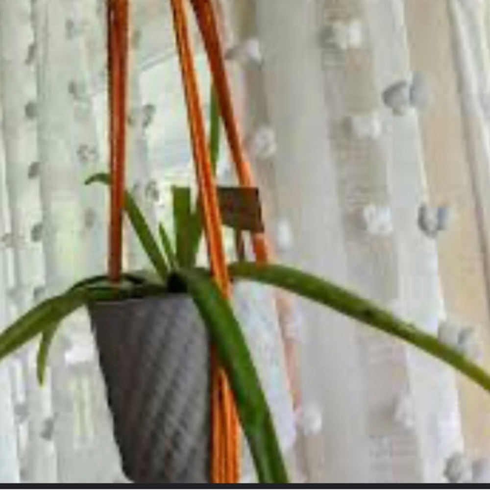 HAND CRAFTED Macramé Plant Holder with Stainless Steel Ring